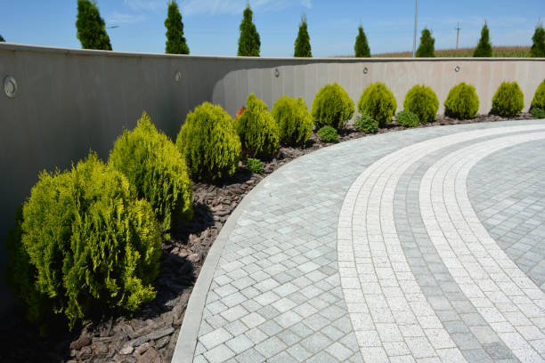 Best Driveway Pavers Near Me  in Seven Mile, AZ